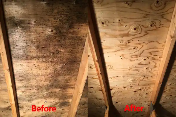 water damage restoration service Pylesville